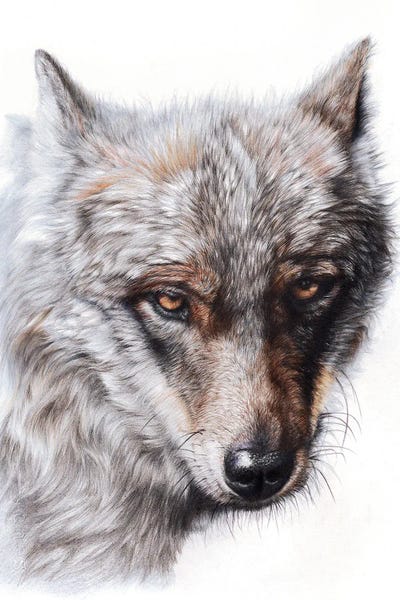 Sierran Spirit by Peter Williams canvas print