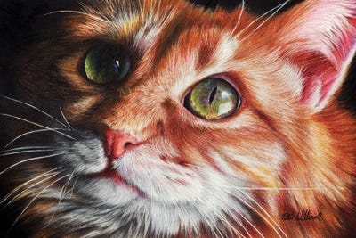 Butter Wouldn'T Melt In Her Mouth by Peter Williams art print