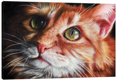 Butter Wouldn'T Melt In Her Mouth Canvas Art Print - Orange Cat Art