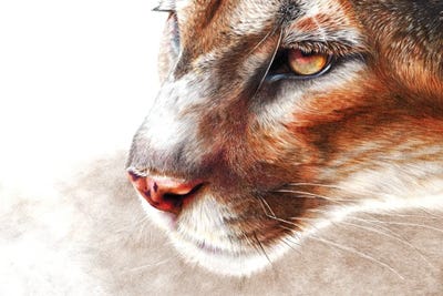 Ghost by Peter Williams canvas print