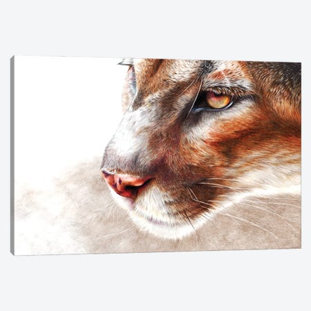 Ghost Canvas Print #PWI208} by Peter Williams Canvas Wall Art