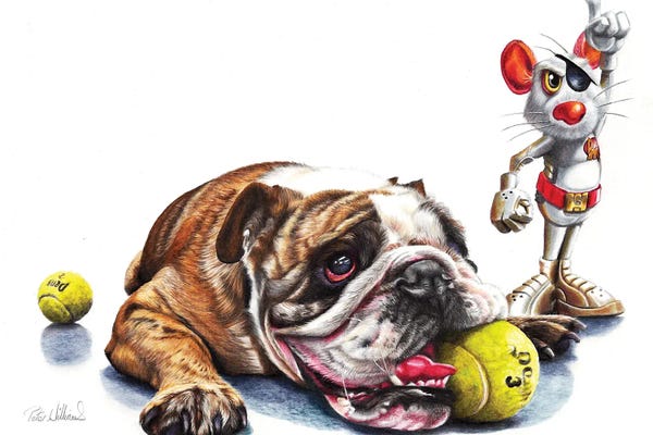 Mice: Boy's Toys by Peter Williams