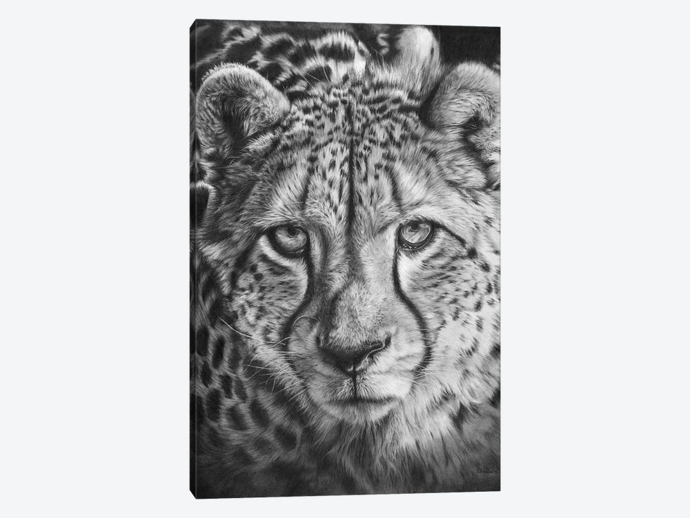 African Cheetah by Peter Williams 1-piece Canvas Art Print