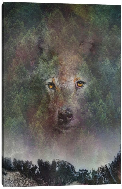 Elemental Wolf Print Canvas Art Print - Peter Williams