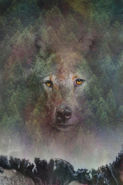 Peter Williams: Elemental Wolf Print by Peter Williams