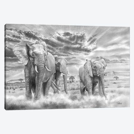 We Three Kings - African Elephant Canvas Print #PWI216} by Peter Williams Canvas Artwork