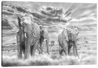 We Three Kings - African Elephant Canvas Art Print
