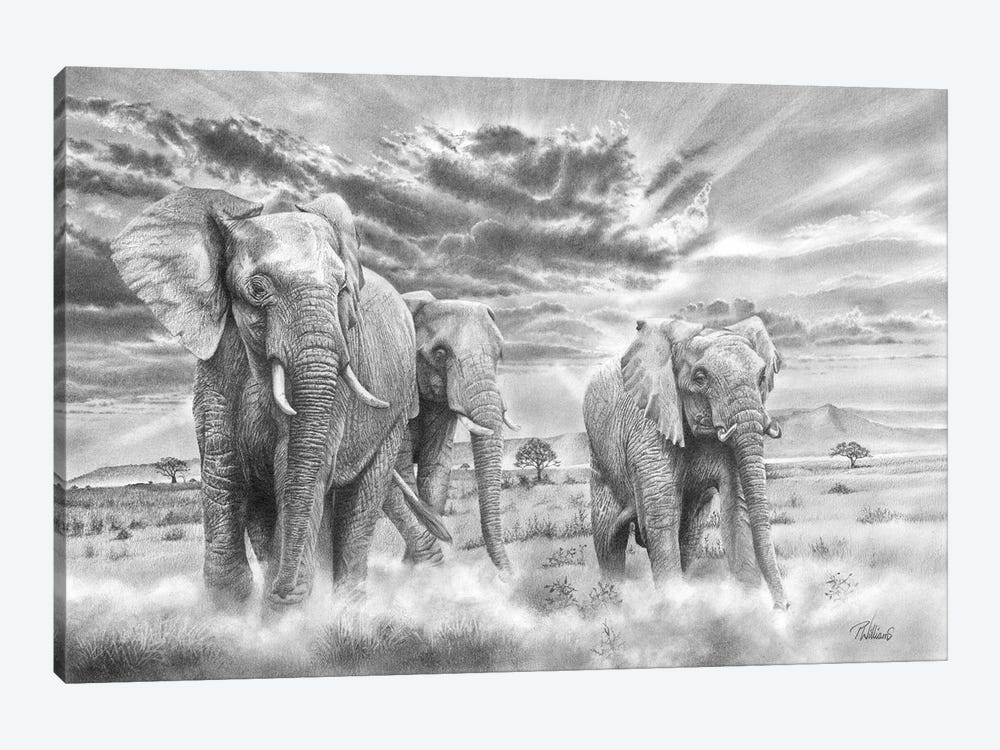 We Three Kings - African Elephant by Peter Williams 1-piece Canvas Art Print
