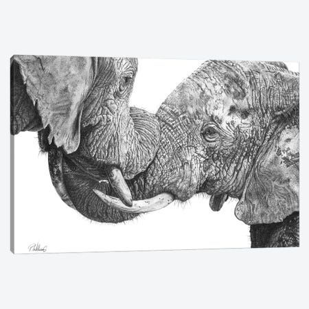 Titanic Embrace African Elephant Canvas Print #PWI217} by Peter Williams Canvas Wall Art