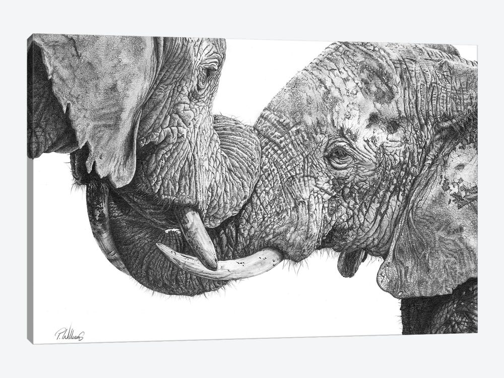 Titanic Embrace African Elephant by Peter Williams 1-piece Canvas Wall Art