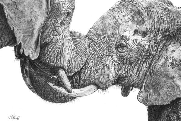 Peter Williams: Titanic Embrace African Elephant by Peter Williams
