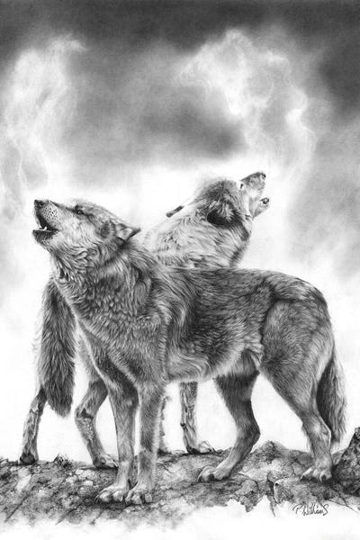 Crying Out Loud Wolf by Peter Williams canvas print