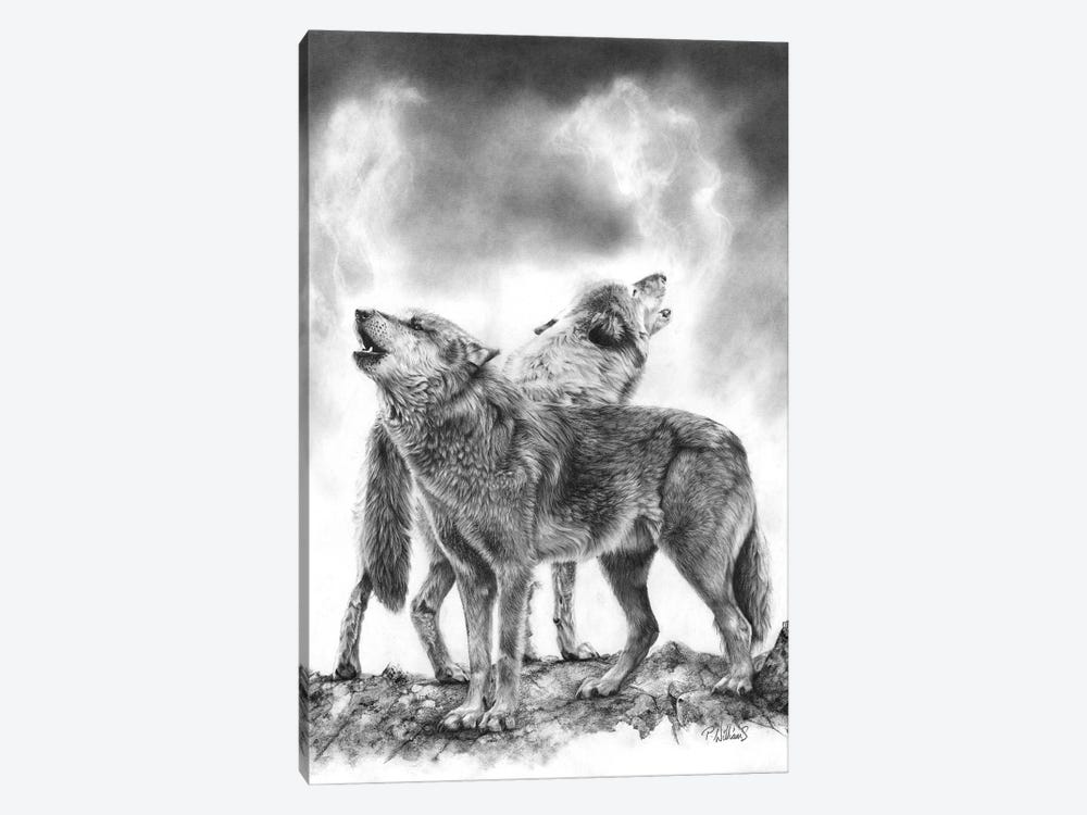 Crying Out Loud Wolf by Peter Williams 1-piece Canvas Print