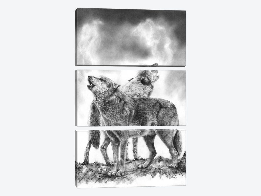 Crying Out Loud Wolf by Peter Williams 3-piece Canvas Art Print