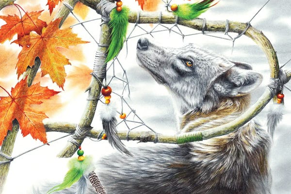 Wolves: Broken Dream by Peter Williams