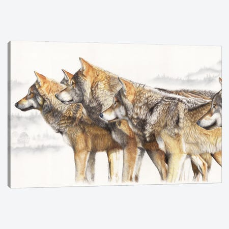 United We Stand Wolf Pack Canvas Print #PWI221} by Peter Williams Canvas Art