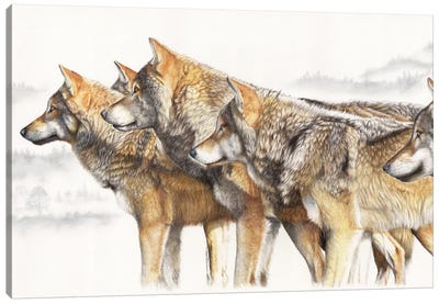 United We Stand Wolf Pack Canvas Art Print - Peter Williams