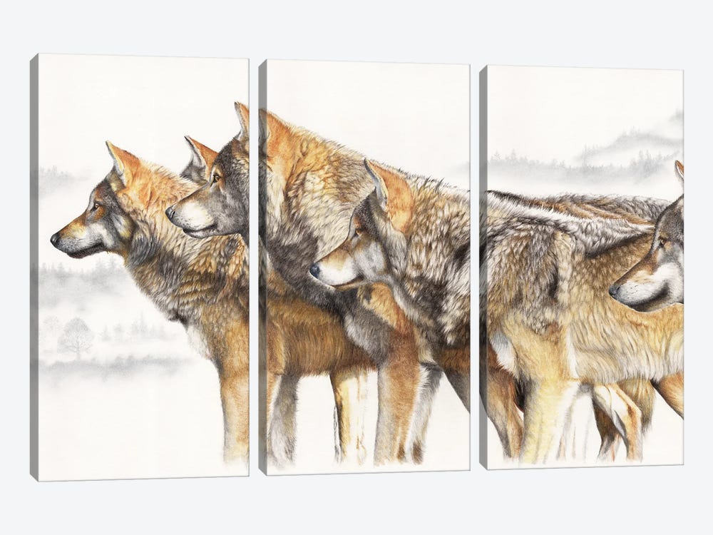 United We Stand Wolf Pack by Peter Williams 3-piece Art Print
