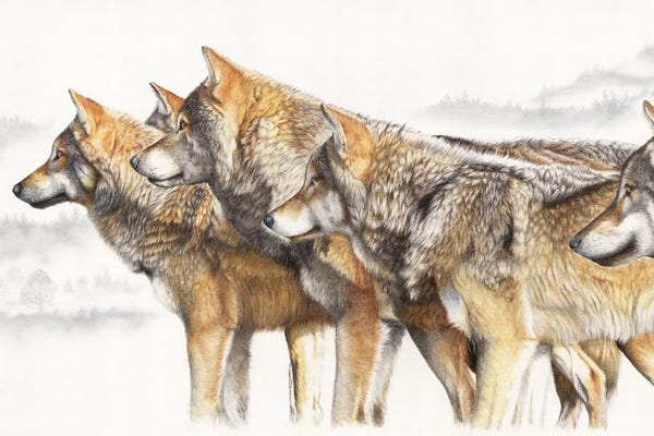 Peter Williams: United We Stand Wolf Pack by Peter Williams