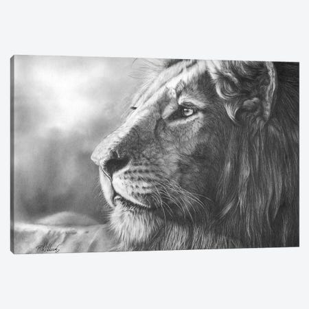 Courageous Lion Portrait Canvas Print #PWI223} by Peter Williams Canvas Artwork