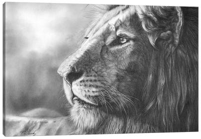 Courageous Lion Portrait Canvas Art Print - Peter Williams