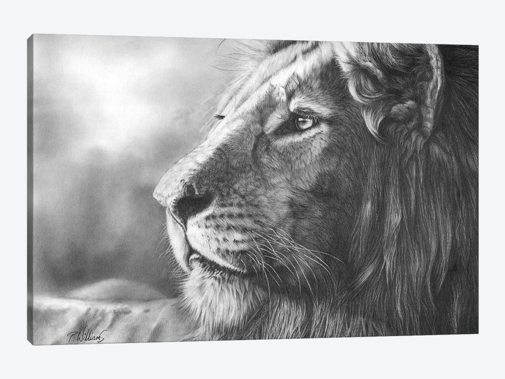 Courageous Lion Portrait by Peter Williams 1-piece Art Print