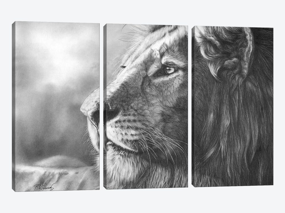 Courageous Lion Portrait by Peter Williams 3-piece Art Print