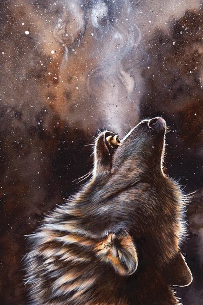 Peter Williams: Cadence by Peter Williams