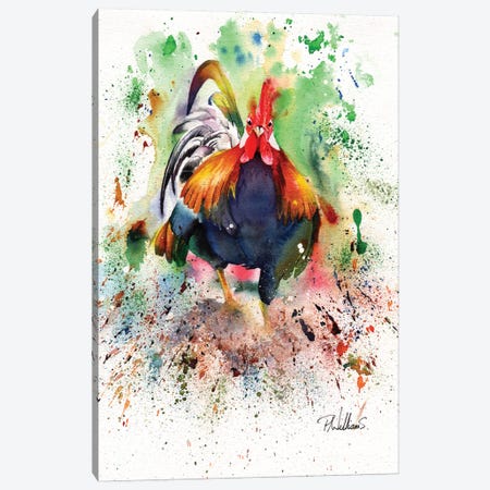 Charging Chicken Canvas Print #PWI26} by Peter Williams Art Print