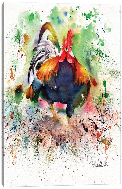 Charging Chicken Canvas Art Print - Peter Williams