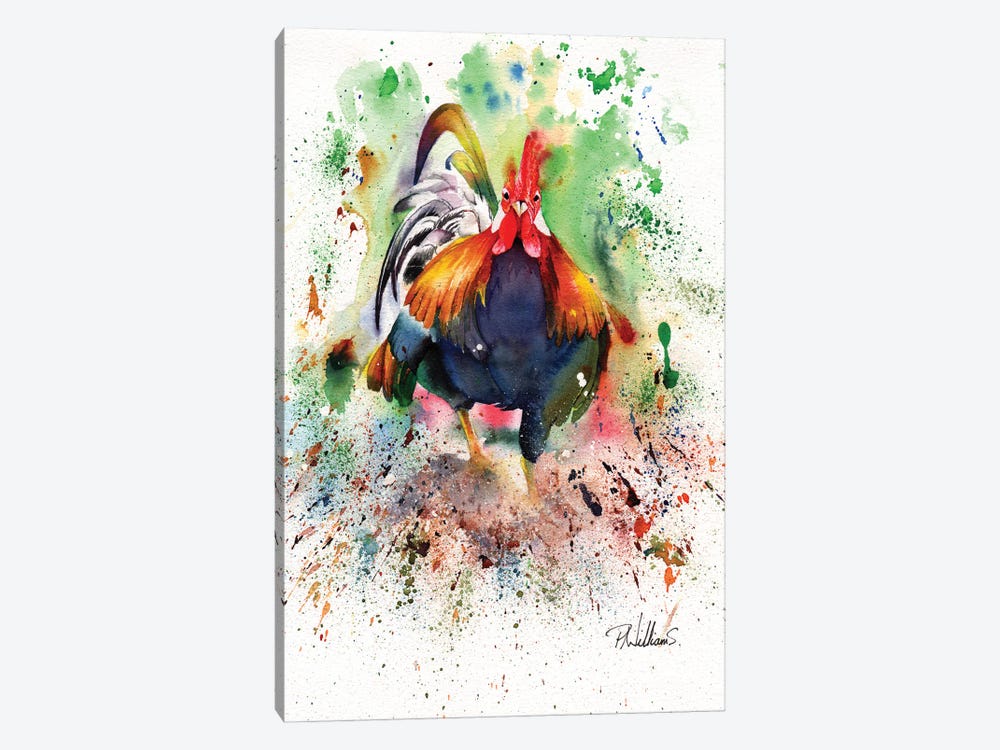 Charging Chicken by Peter Williams 1-piece Canvas Artwork