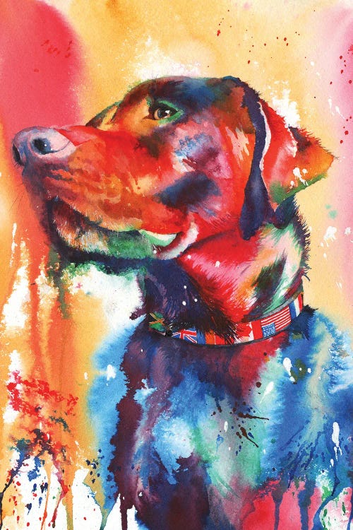 Coat Of Many Colours by Peter Williams wall art