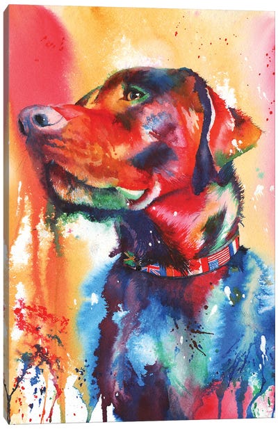 Coat Of Many Colours Canvas Art Print - Pet Dad