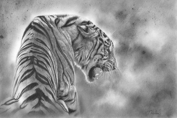 Peter Williams: Defiant by Peter Williams