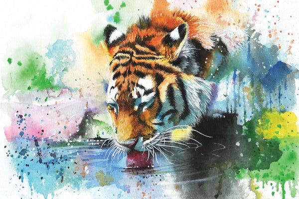 Tigers: Dousing The Fire by Peter Williams