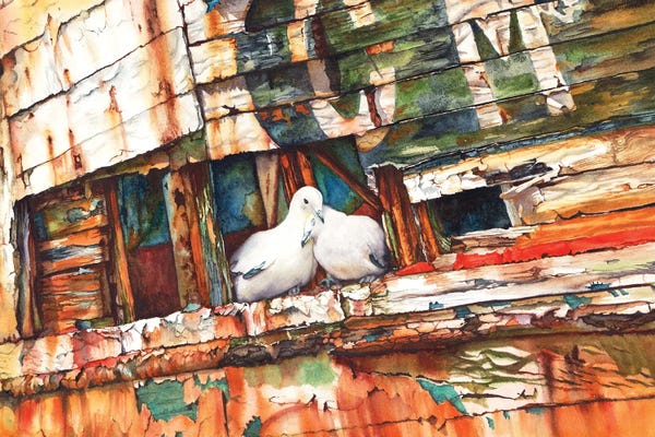 Doves & Pigeons: The Dove Boat by Peter Williams