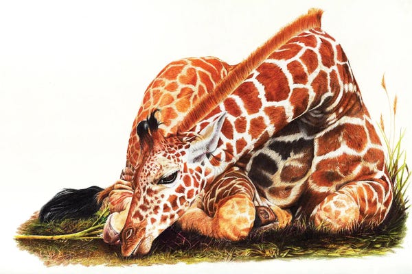 Peter Williams: Down To Earth by Peter Williams
