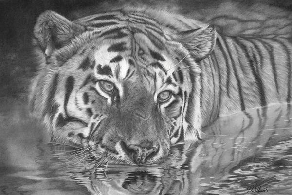 Peter Williams: Drifting by Peter Williams