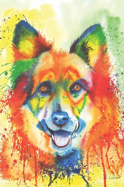 Alsatian Sensation by Peter Williams canvas print