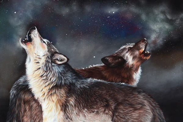 Wolves: Enduring Spirit by Peter Williams