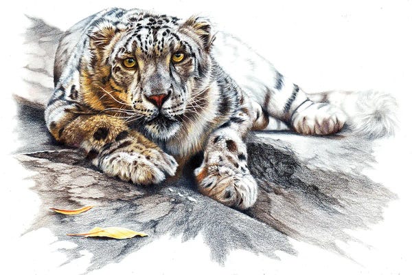 Peter Williams: Ethereal Spirit by Peter Williams