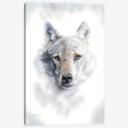 Fade To Grey Canvas Print #PWI43} by Peter Williams Canvas Art