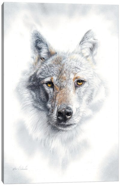 Fade To Grey Canvas Art Print - Peter Williams