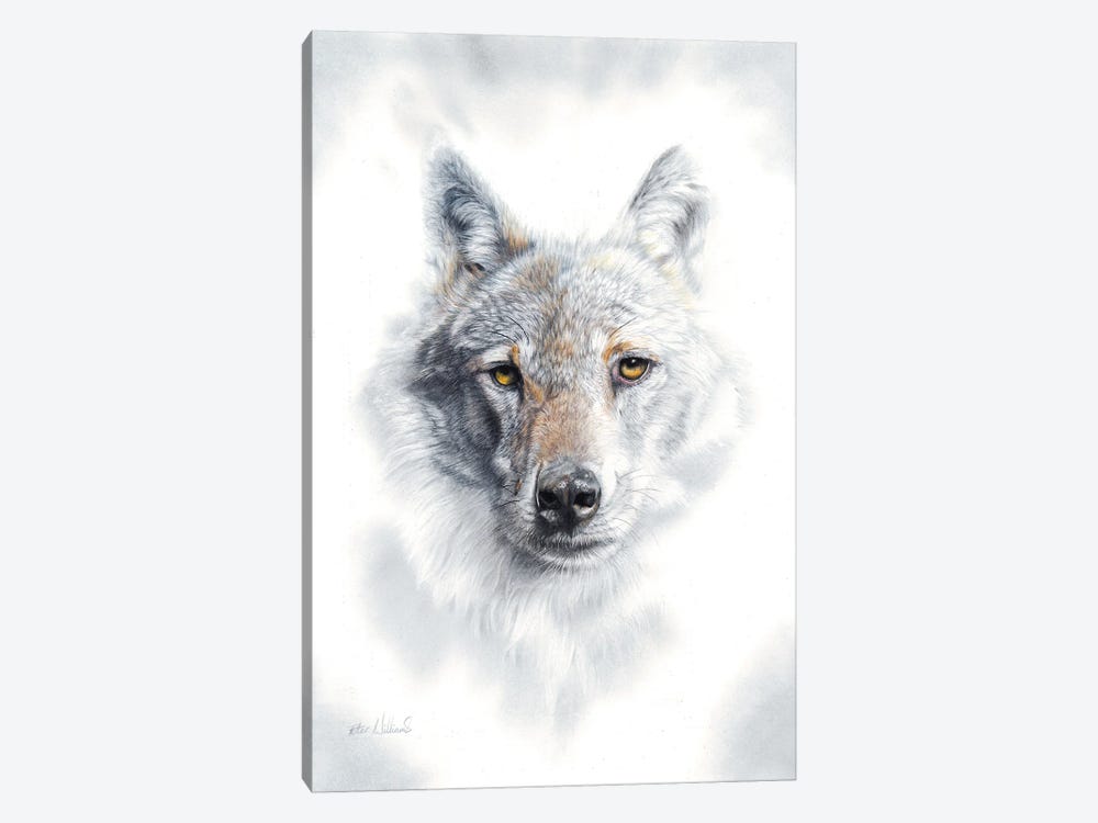 Fade To Grey by Peter Williams 1-piece Art Print