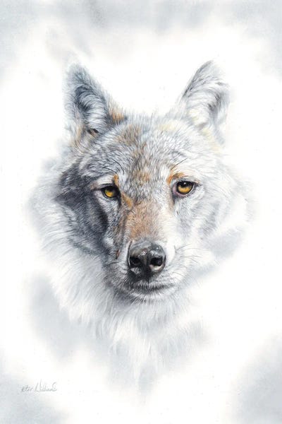 Peter Williams: Fade To Grey by Peter Williams