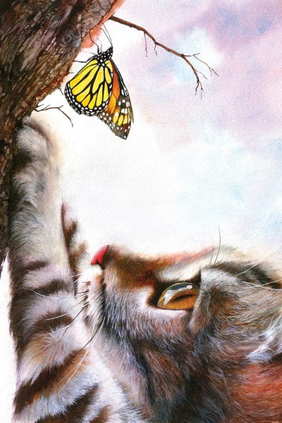 Peter Williams: Fascination by Peter Williams