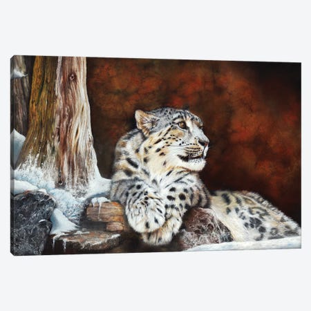 Fire And Ice Canvas Print #PWI45} by Peter Williams Art Print