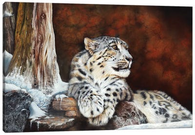 Fire And Ice Canvas Art Print - Peter Williams