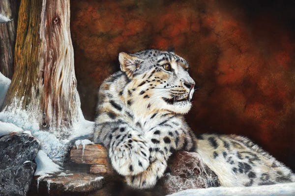Peter Williams: Fire And Ice by Peter Williams