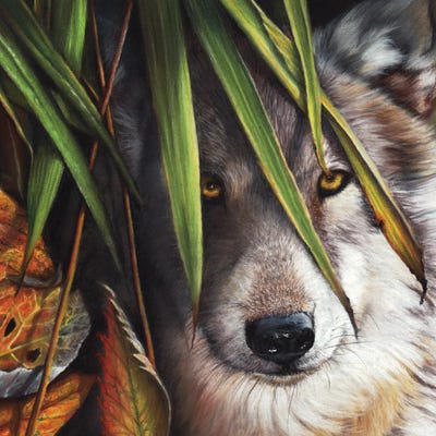 Forever Autumn by Peter Williams framed canvas print